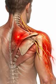 Стресс ба булчингийн таталт